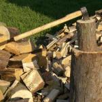 Firewood is dreaming: one is joy, the other is trouble