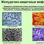 Infekcja jelitowa - objawy i leczenie u dorosłych, przyczyny choroby