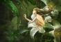 Лилия – символ чистоты, цветок с богатой историей Что означают картины с сиренью