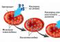 Zvýšený hemoglobín u mužov: čo to znamená a čo robiť Hemoglobín u mužov zobrazenie zdroja php id