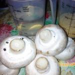 Recept za pripremu prosene kaše sa gljivama Prosena kaša sa gljivama recept