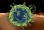 How long does the flu virus live?