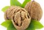 Koristi in škode orehov pri zdravljenju gastritisa Ali imajo oreščki visoko kislost?