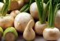 Turnip: composition, calorie content, benefits, recipes Turnip calories per 100 grams