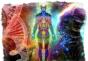 Human chakras and their correct opening