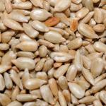 ¿Qué son útiles para las semillas de girasol, su daño y su calorías?