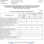 Informes FSS: formulario, plazos y procedimiento de presentación