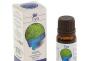 Thuja dn - upute za korištenje ulja za curenje nosa za djecu Kemijski sastav i korisna svojstva