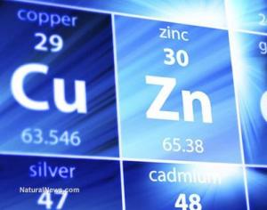 The role of zinc, daily zinc intake for women and sources of microelements