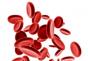 Ako zvýšiť počet krvných doštičiek v krvi: účinné metódy korekcie