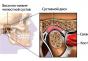 Osobitosti određivanja središnje okluzije i kontrola ispravnosti Metode određivanja središnje okluzije i omjer čeljusti